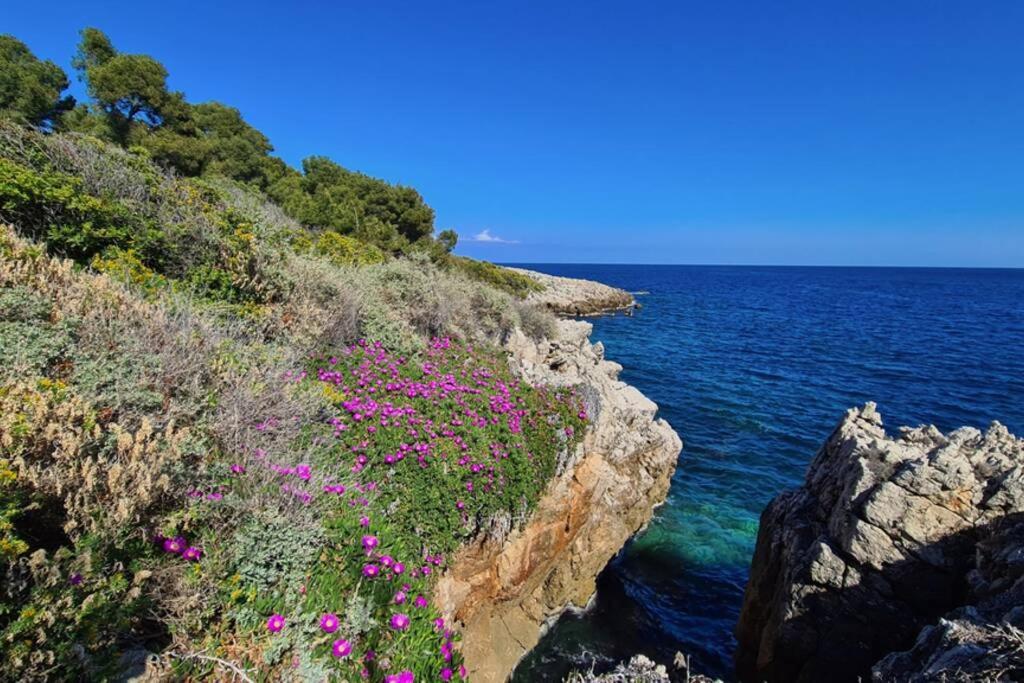 Casalionelantibes 70 Sqm Apartment With Garden And Parking ภายนอก รูปภาพ