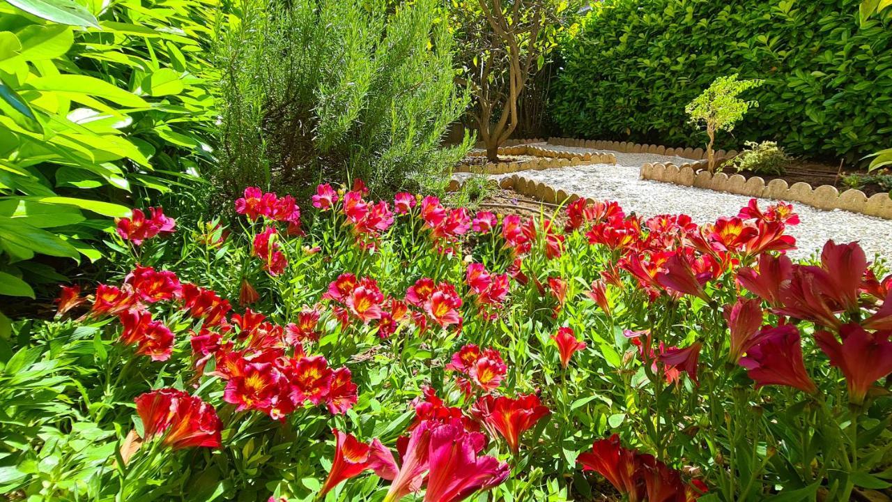 Casalionelantibes 70 Sqm Apartment With Garden And Parking ภายนอก รูปภาพ