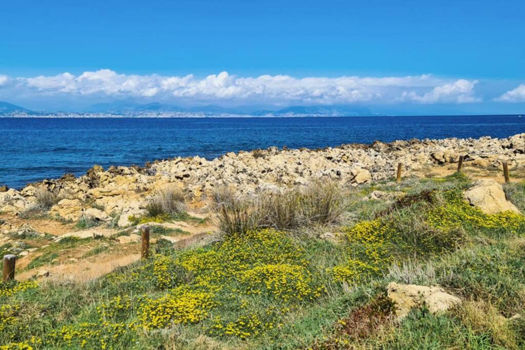 Casalionelantibes 70 Sqm Apartment With Garden And Parking ภายนอก รูปภาพ